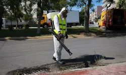 Batı Nil virüsünde yüksek dolaşım dönemi alarmı! 'Eylül sonuna kadar sürebilir'
