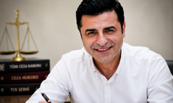 Çerçeve Yasa sonrası Demirtaş açıklaması: 'Talepte bulunduğu takdirde serbest bırakılacak'