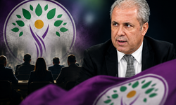 DEM Parti'de kurultay hesabı! Şamil Tayyar hangi isimlerin gideceğini açıkladı