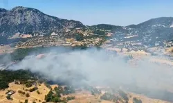 Kaş'ta korkutan orman yangını! Hem havadan hem karadan müdahale sürüyor