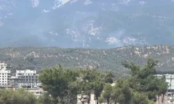 Kazdağı Milli Parkı'nda korkutan orman yangını: Kontrol altına alındı!