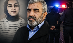 Rojin Kabaiş'in ailesini tehdit eden gruba operasyon: 2 kişi tutuklandı