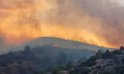 Yunanistan'da Sakız Adası ve Eğriboz Adası'nda korkutan yangın!