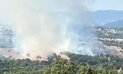 Bursa'da korkutan orman yangını! Müdahale sonrası kontrol altına alındı