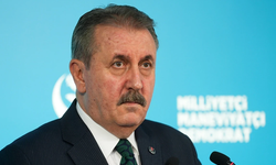 Destici'den Mladic kararına tepki: Soykırımcılar kahramanlaştırılamaz
