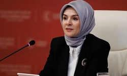 Göktaş: Dijital şiddetle mücadelede uluslararası standartlar güçlendirilmeli