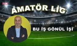 BU İŞ GÖNÜL İŞİ