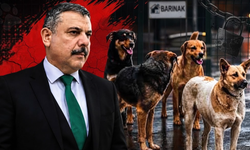 Bakan Çiftçi'den sokak hayvanları konusunda tartışma yaratacak sözler!