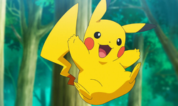 Yıllarca tavan arasında saklı kaldı: Pokémon kartlarından servet kazandı
