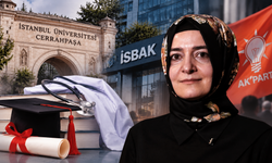 Fatma Betül Sayan Kaya'ya diploma sorusu: 'Cerrahpaşa Tıp'ı nasıl bitirdi?'