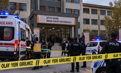 Başakşehir'de ortaokulda 8 kişiyi yaralayan F.M. kimdir? Başakşehir'de okul saldırısı yapan F.M kaç yaşında, nereli?