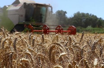 Tarlası olanlara haber verin Destek için son 24 saate girildi