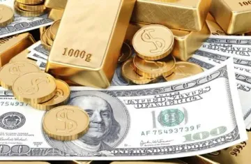 En çok kazandıracak yatırım aracı açıklandı: Dolar altın ya da borsa değil