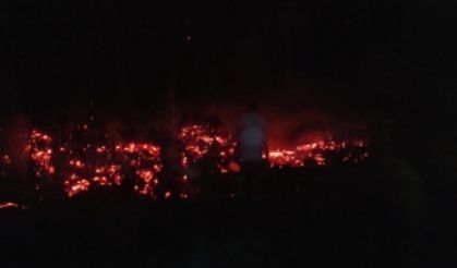 Elazığ'da tarlada çıkan yangını köylüler söndürdü