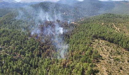 Antalya'da orman yangını kontrol altına alındı