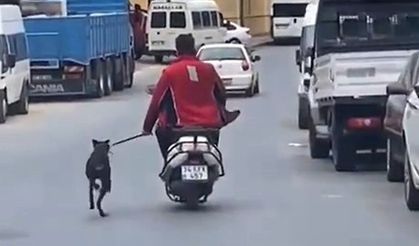 Köpeği motosikletle dakikalarca koşturdu