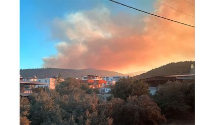 Mersin’de orman yangını