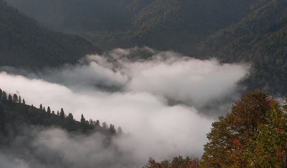 Artvin sonbahar renklerine büründü