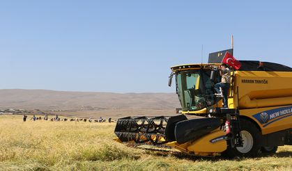 Taşlı arazilerde yetişen tescilli Karacadağ pirincinin hasadı başladı