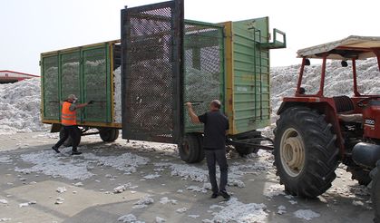 TARİŞ’e rağbet arttı, depolar 10 bin 200 ton pamukla doldu