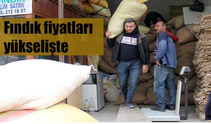 Fındık fiyatları yükselişe geçti