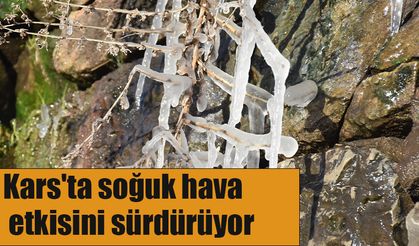 Kars'ta soğuk hava etkisini sürdürüyor