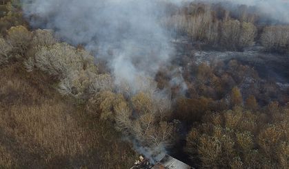 Bursa'da ağaçlık alanda çıkan yangına müdahale ediliyor