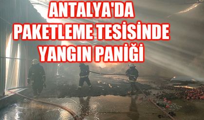 Antalya'da paketleme tesisinde yangın paniği