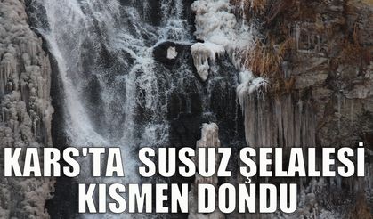 Kars'ta  Susuz Şelalesi kısmen dondu