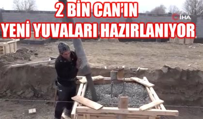 2 bin sahipsiz hayvanın yaşayacağı barınak yapılıyor