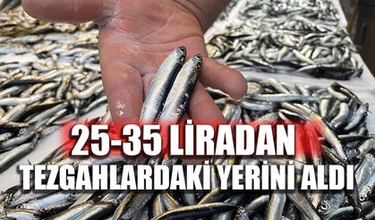 Hamsi 25-35 liradan tezgahlardaki yerini aldı