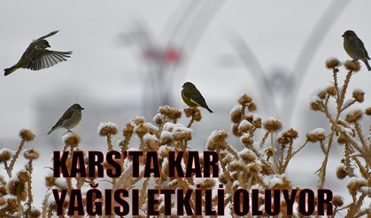 Kars’ta kar yağışı etkili oluyor