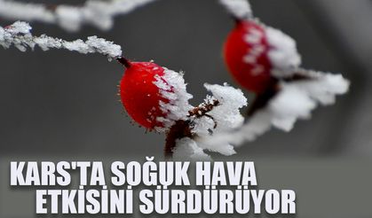 Kars'ta soğuk hava etkisini sürdürüyor