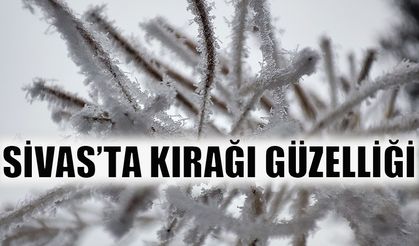 Sivas’ta kırağı güzelliği