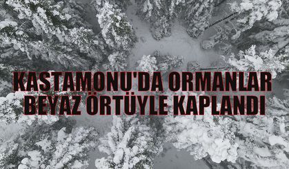 Kastamonu'da ormanlar beyaz örtüyle kaplandı