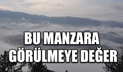 Bu manzara görülmeye değer