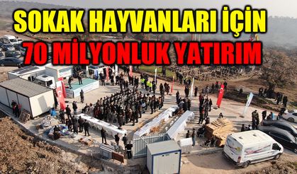 Sokak hayvanları için 70 milyonluk yatırım