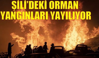 Şili’deki orman yangınları yayılıyor