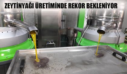 Zeytinyağı üretiminde rekor bekleniyor