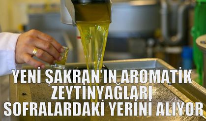 Yeni Şakran’ın aromatik zeytinyağları sofralardaki yerini alıyor