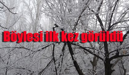 Böylesi ilk kez görüldü