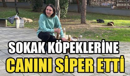 Sokak köpeklerine canını siper etti