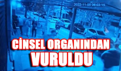 Tartıştığı adamı cinsel organından yaraladı