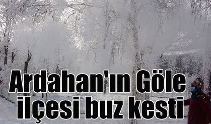 Ardahan'ın Göle ilçesi buz kesti