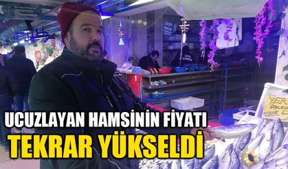 Ucuzlayan hamsinin fiyatı tekrar yükseldi