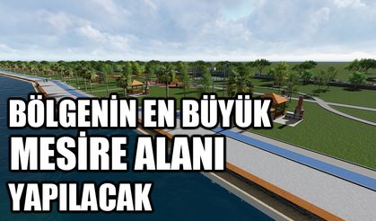 Dicle Nehri kenarında atıl araziye bölgenin en büyük mesire alanı yapılacak