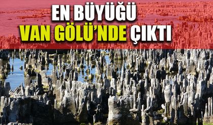 Van Gölü kıyısında en büyük mikrobiyalit oluşumuna rastlandı