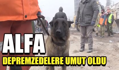 Alfa depremzedelere umut oldu