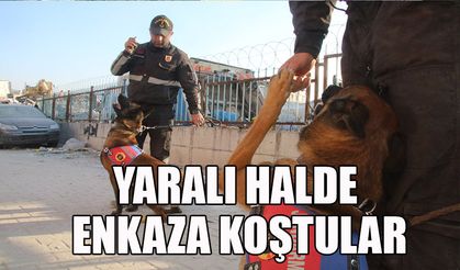 Yaralı halde enkaza koştular