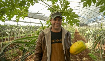 Tunus’taki kuraklık çiftçileri "kuraklığa dayanıklı ürünler" arayışına sevk ediyor